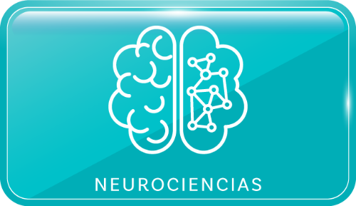 Curso: Estrategias para aplicar las neurociencias en el aula