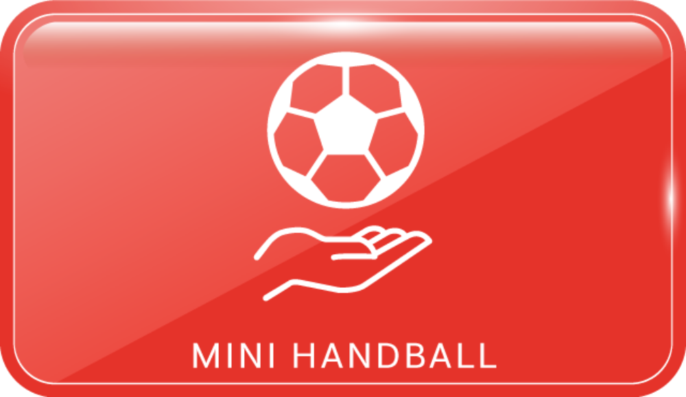 Diseño secuencias de enseñanza-aprendizaje del mini handball