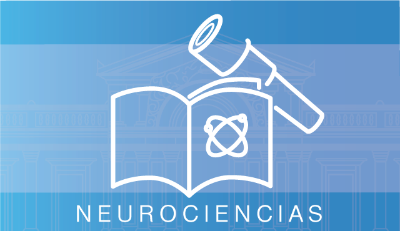 Estrategias para aplicar las neurociencias en el aula