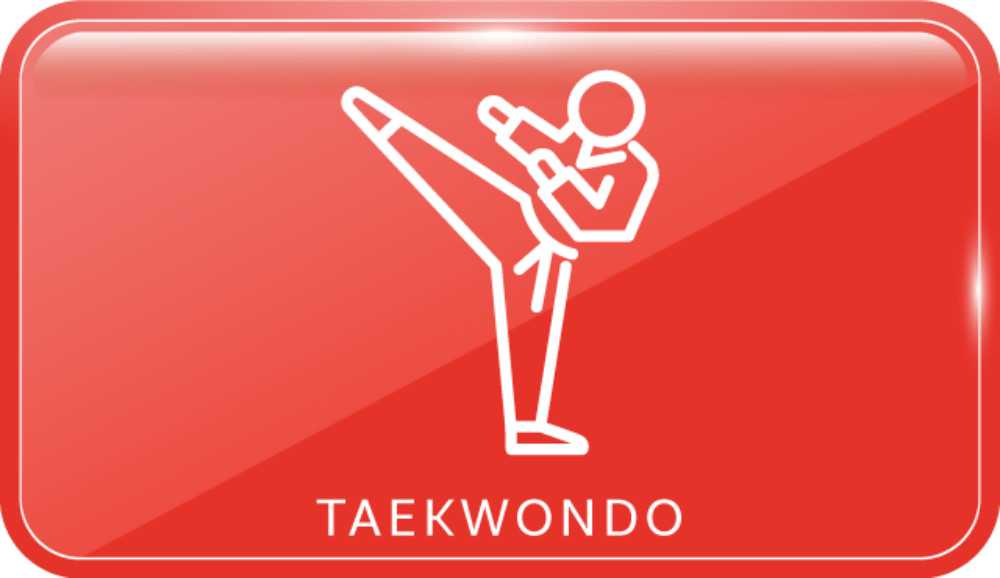 Estrategias metodológicas para la enseñanza del taekwondo